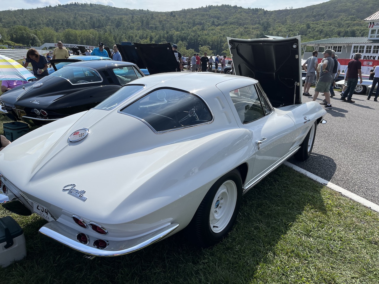 Lime Rock Concours - 7