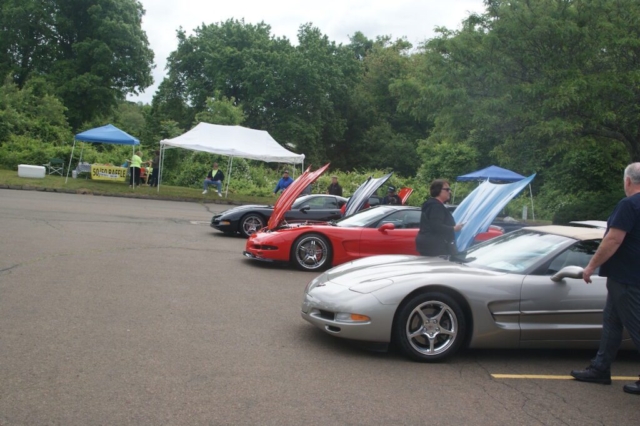 C5s on Display