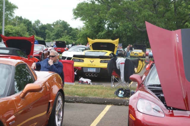 A Sea of Corvettes